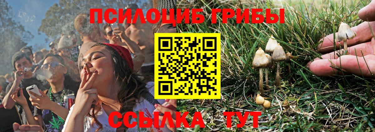 Псилоцибиновые грибы Magic Shrooms Верхняя Салда