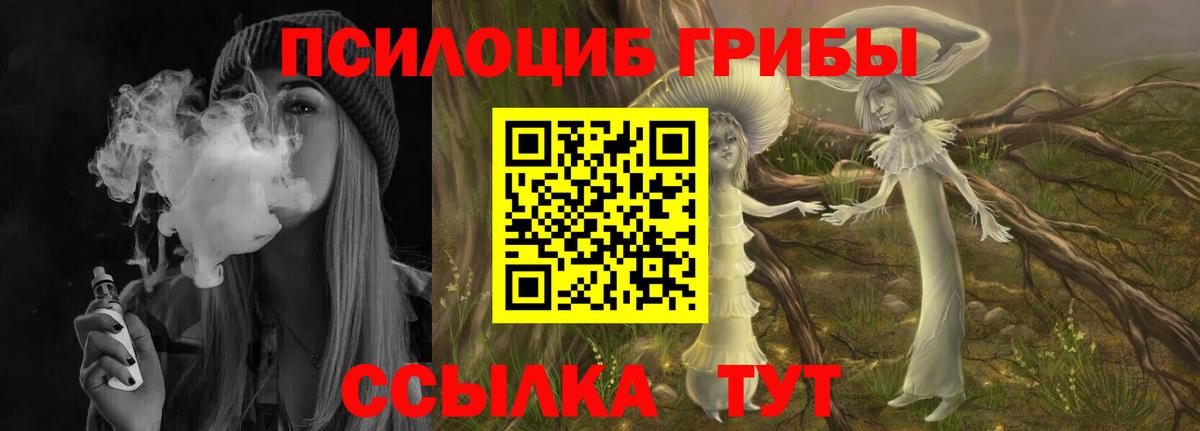 Псилоцибиновые грибы ЛСД  Вход с VPN  Верхняя Салда  Псилоцибиновые грибы Psilocybine cubensis 
